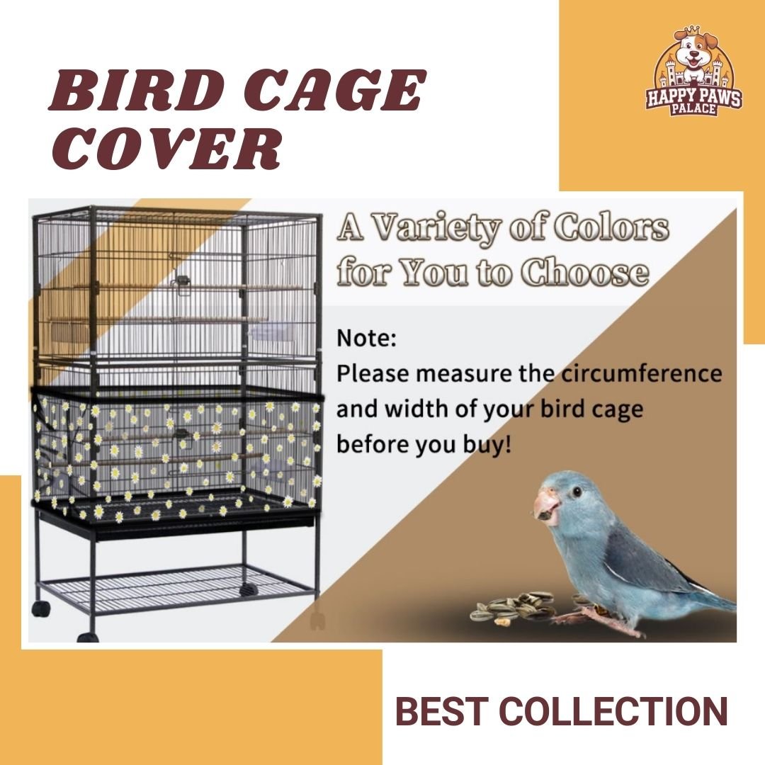 bird cage setup ideas