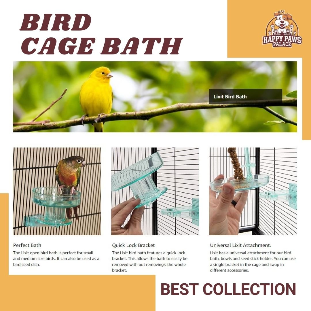 bird cage setup ideas