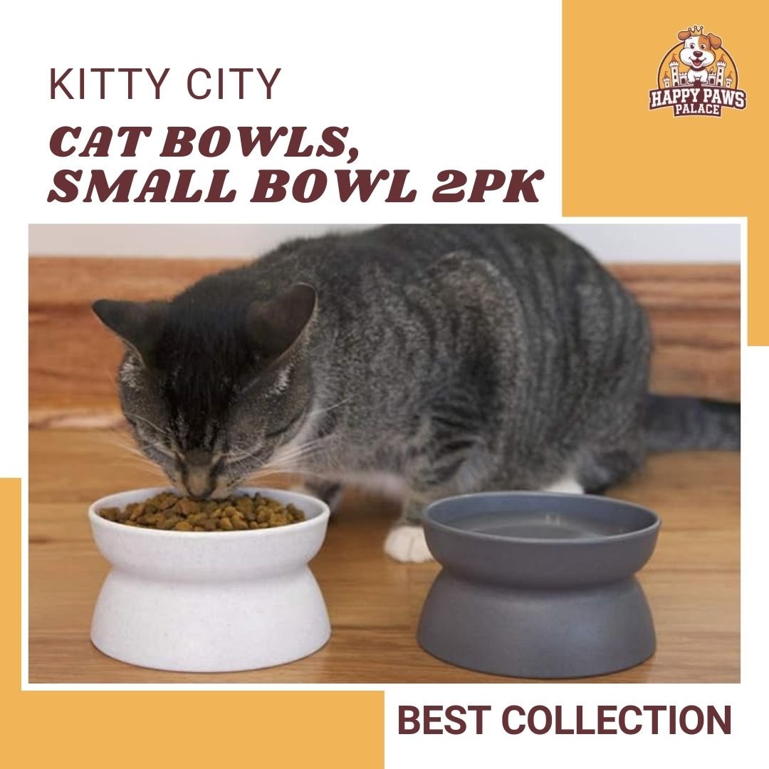 Kitty City Raised Cat Bowls