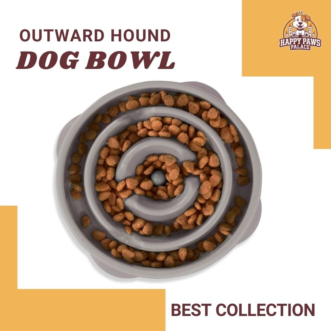 Medium Slow Feeder Dog Bowl