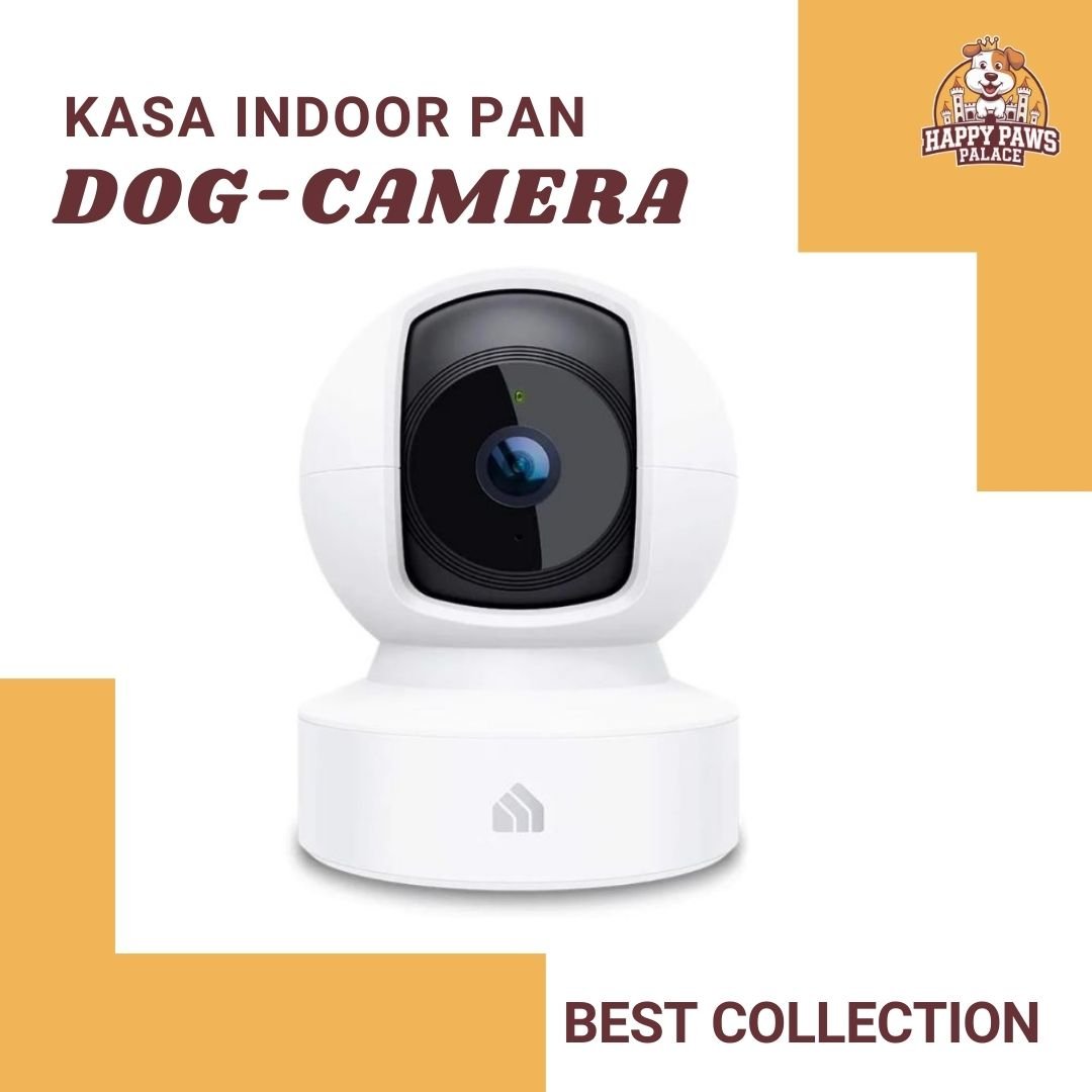 Dog-Camera