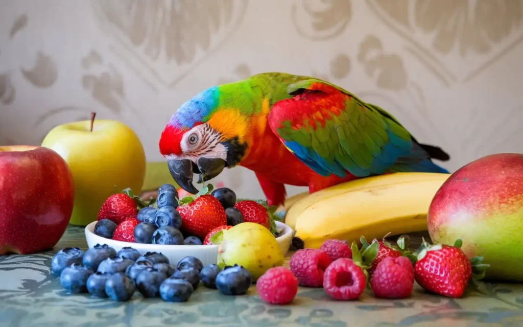 What Does a Parrot Like to Eat