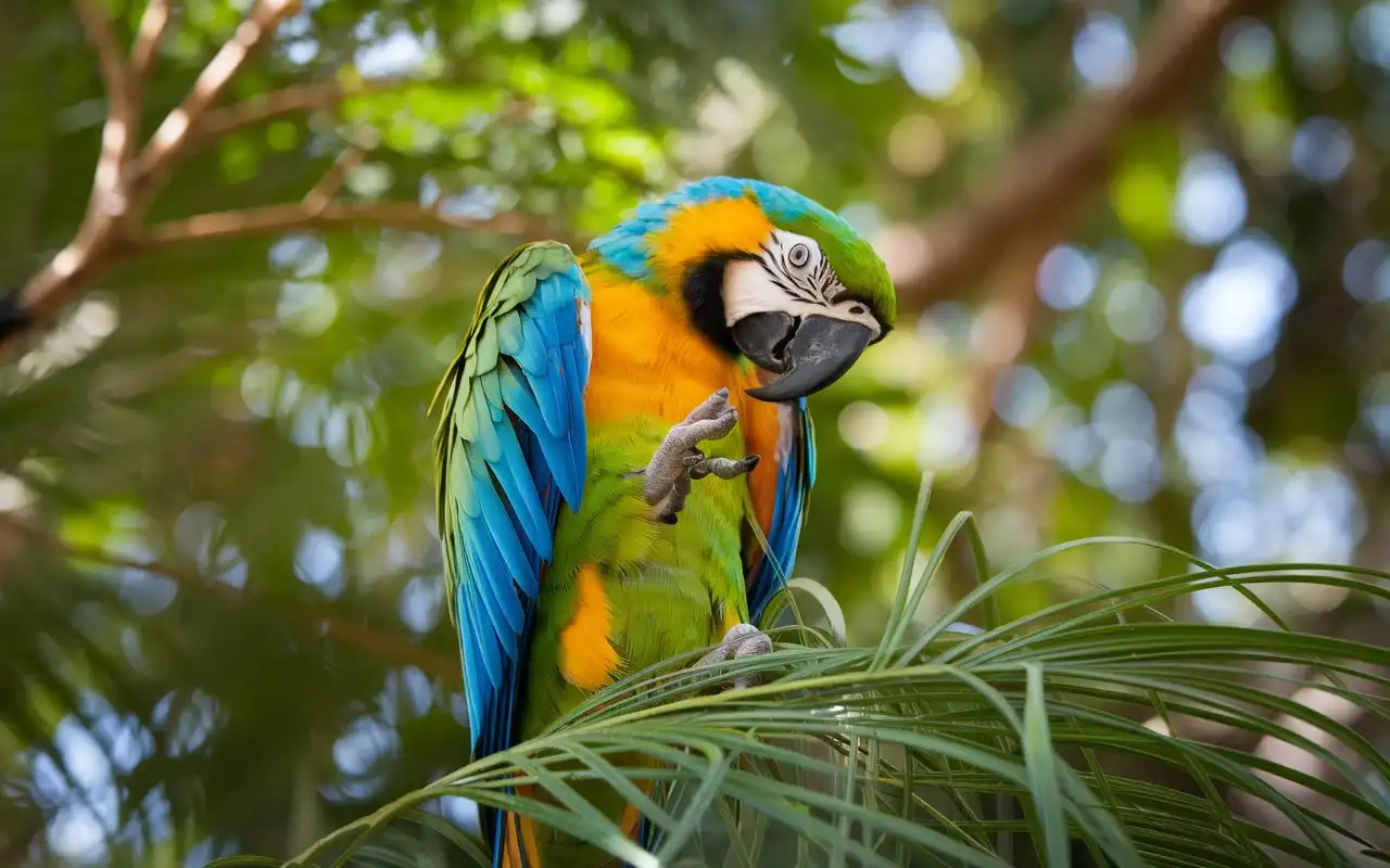 bird plucking feathers