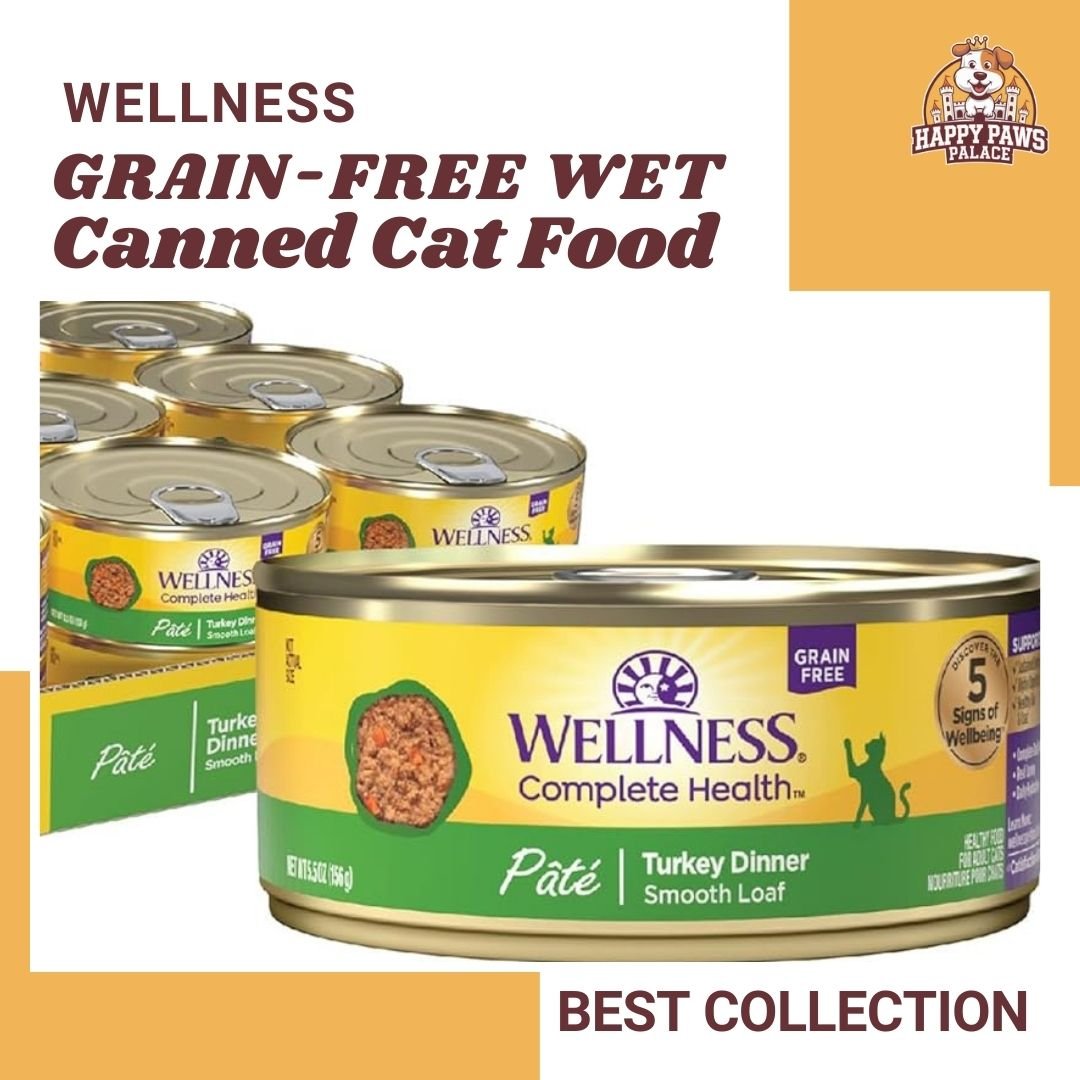 Grain-Free Wet Canned Cat Food