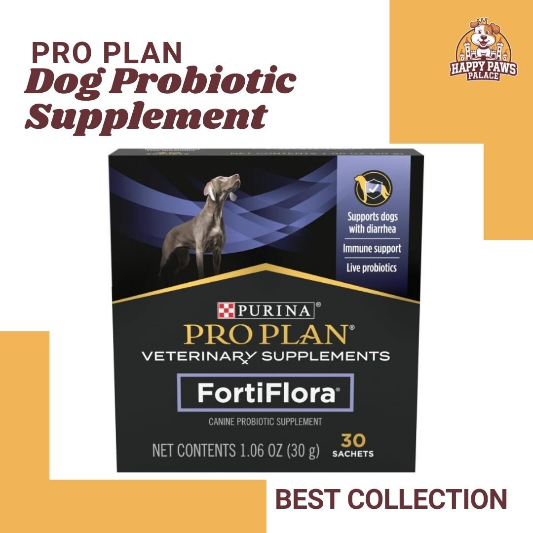 Dog Probiotic Supplement