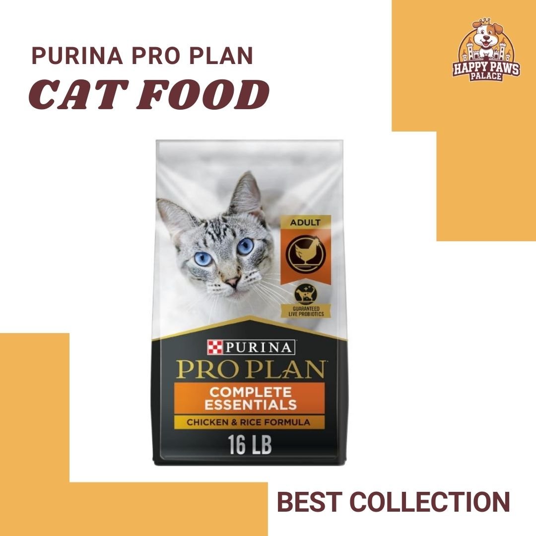 Cat Food With Probiotics for Cats