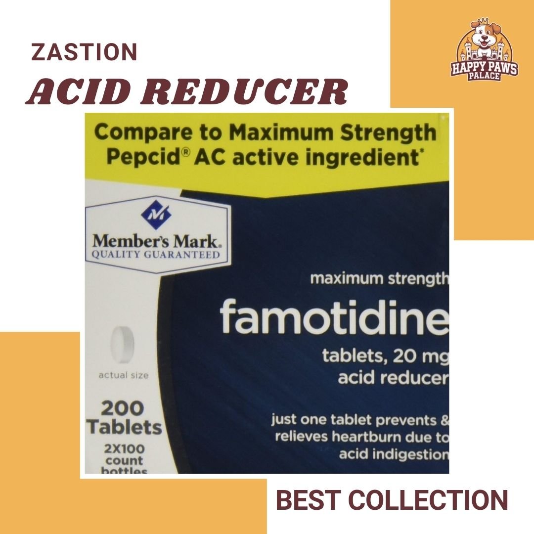 Famotidine Acid Reducer