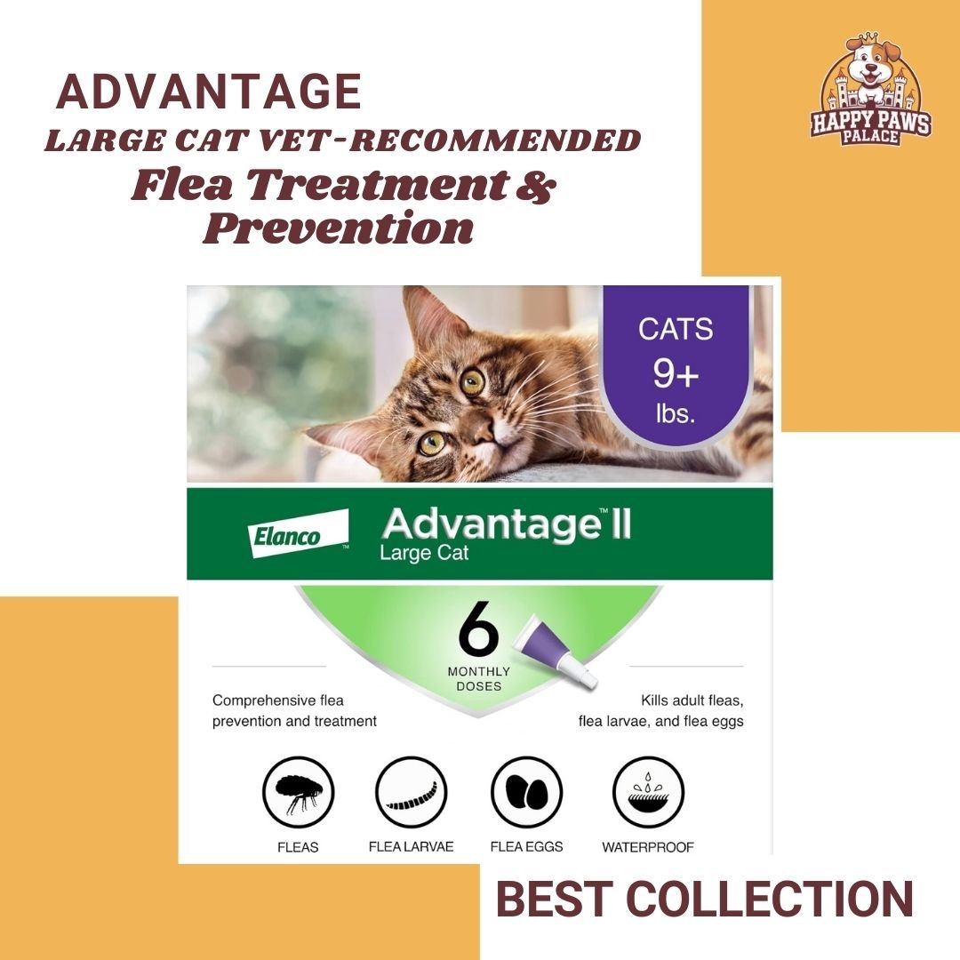  Large Cat Vet-Recommended Flea Treatment  Prevention