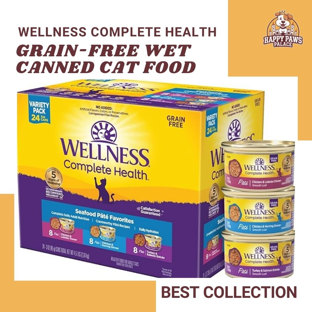 Grain-Free Wet Canned Cat Food