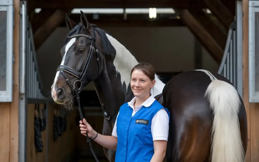 Pigeon Fever in Horses